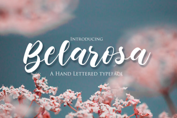Belarosa: A Charming Script Font
