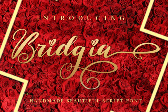 Bridgia Font for Web Design