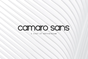 Camaro Font for Business Branding