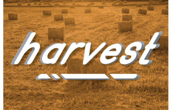 Harvest Font for Web Design