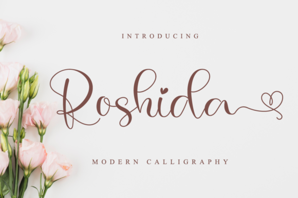 Roshida Font for Web Design